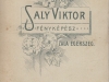 Saly Viktor