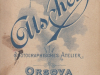 alscher__2