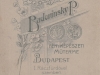 badovinsky__1