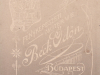 beck__2