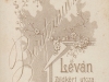 bergtraun__3