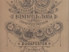 bienenfeld8_2