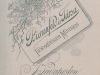 bienenfeld_
