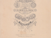 bienenfeld__1