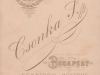 csonka__12