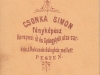 csonka__2