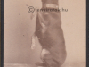 a092602