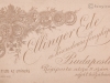 ellinger__11
