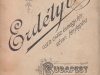 erdelyi__1