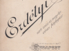 erdelyi__13