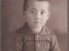 farkas_1