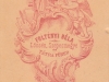 foltenyib_