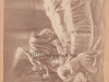 gevay_16