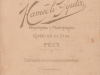 hamedli__2