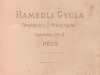 hamedli__3