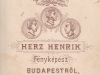 herz__3