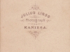 lingg__1