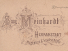 meinhardt__8