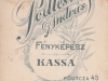 podleszny__0