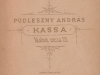 podleszny__1