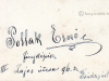 pollack_