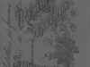 rembrandt__4