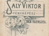 saly__1