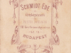 schmidt__16