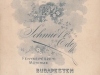 schmidt__24