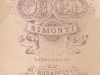 simonyi__8