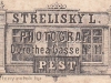 Strelisky Lipót műterme