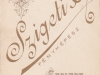 szigeti__4