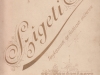 szigeti__0