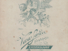vasas__2