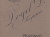 vogel_