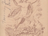 zahor__1